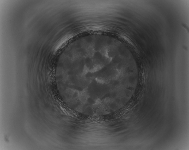 X0000101950775200807181449