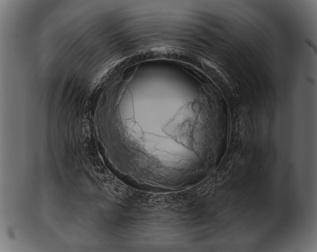 X0000101950776200807181449