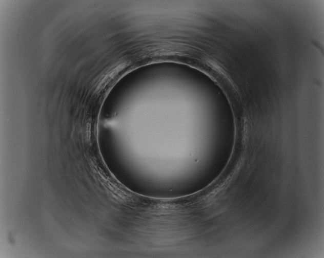 X0000101950777200807181449