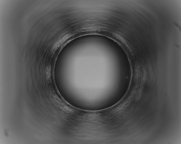 X0000101950778200807181449