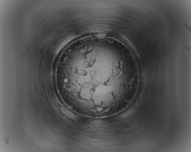 X0000101950779200807181449