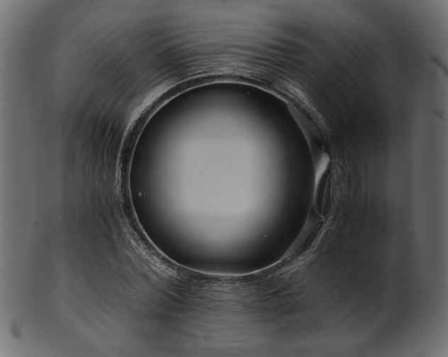 X0000101950780200807181449