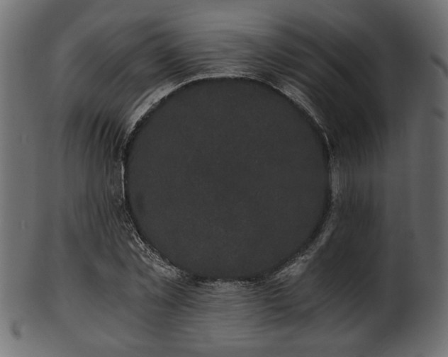 X0000101950781200807181449