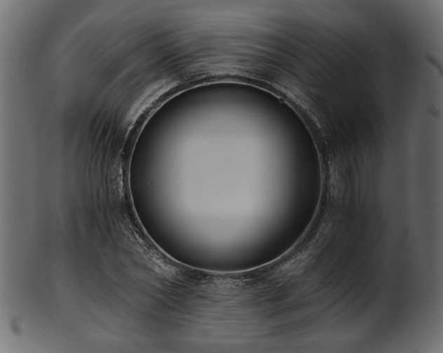 X0000101950782200807181449