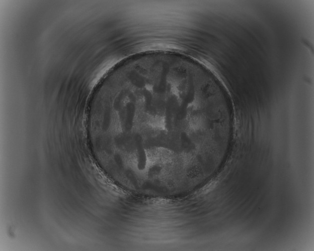 X0000101950783200807181449