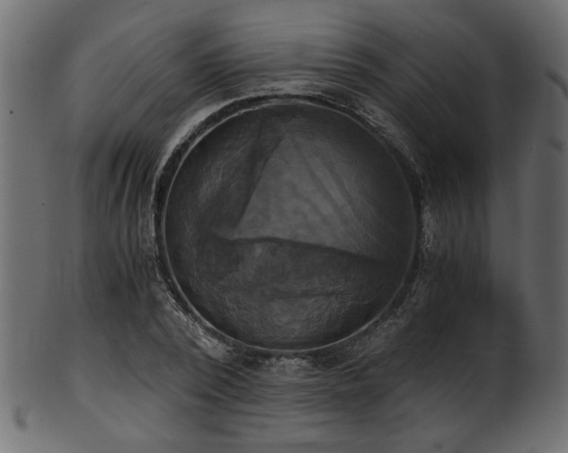 X0000101950784200807181449