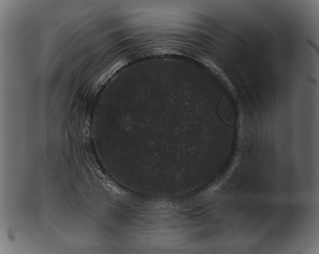 X0000101950785200807181449