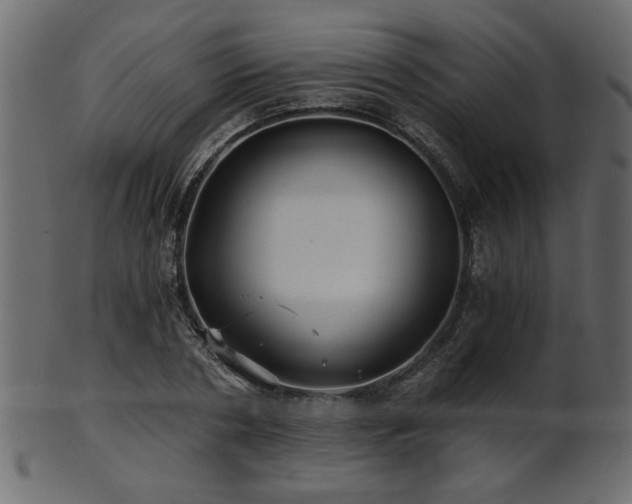 X0000101950786200807181449