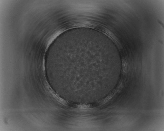 X0000101950788200807181449