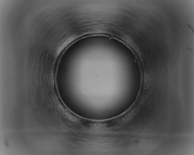 X0000101950789200807181449