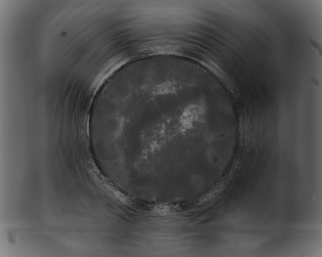 X0000101950790200807181449