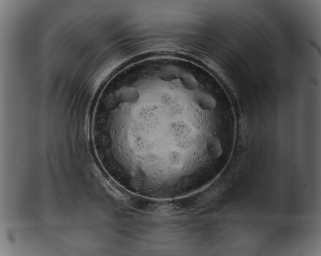 X0000101950791200807181449