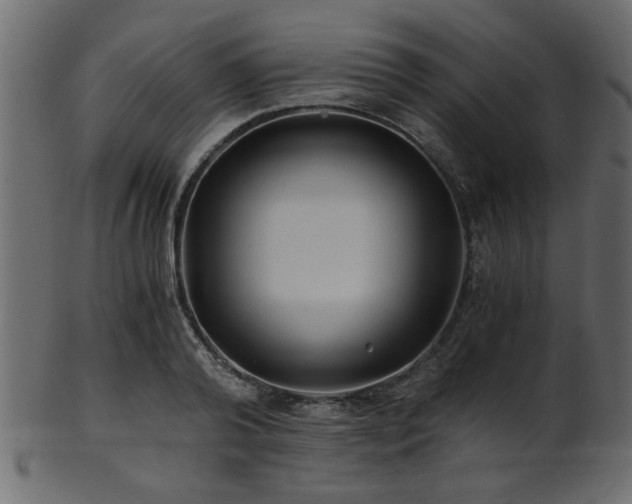 X0000101950792200807181449