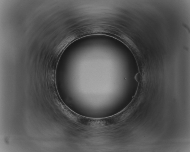 X0000101950793200807181449