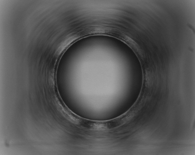 X0000101950794200807181449