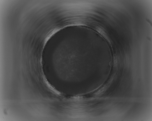 X0000101950797200807181449