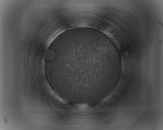 X0000101950798200807181449