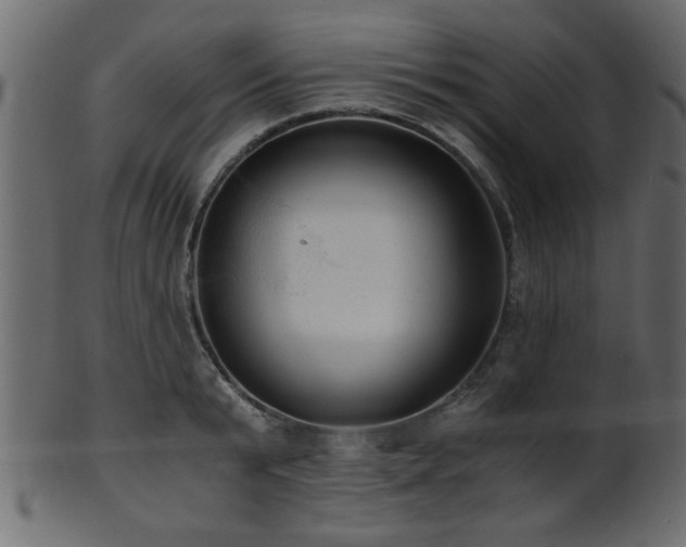 X0000101950799200807181449