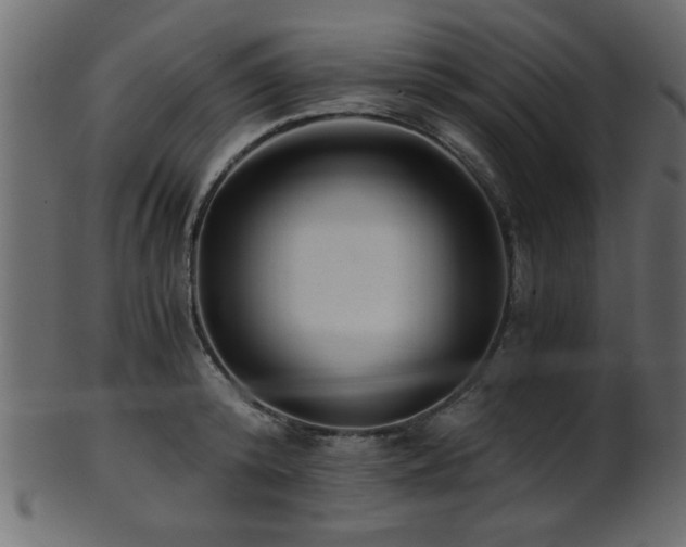 X0000101950800200807181449