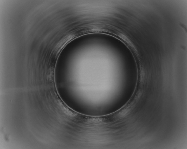 X0000101950801200807181449