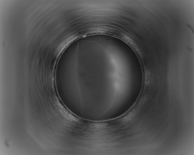 X0000101950802200807181449