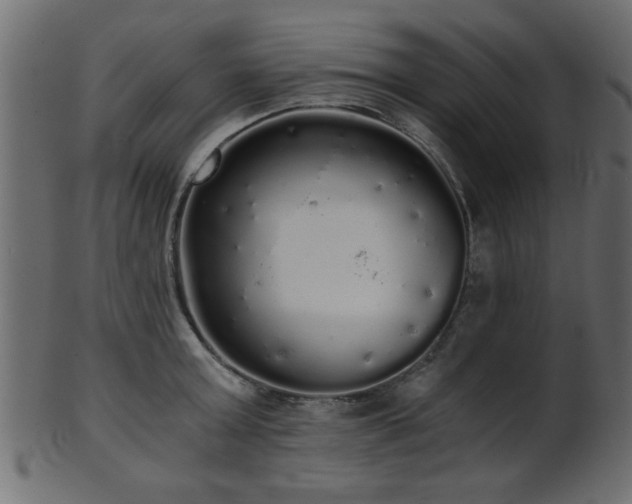 X0000101950803200807181449