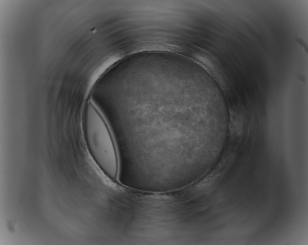 X0000101950804200807181449