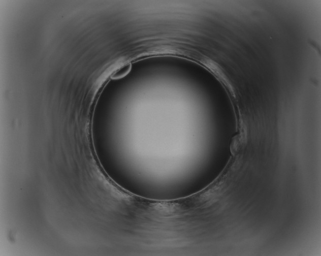 X0000101950805200807181449