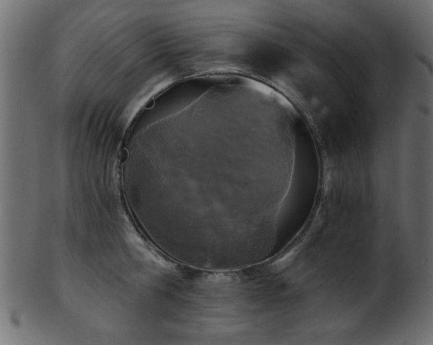 X0000101950806200807181449