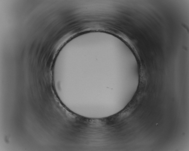 X0000101950807200807181449