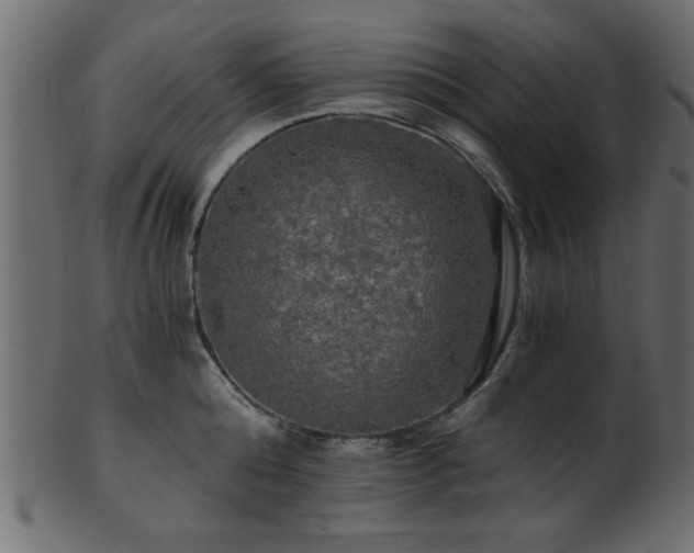 X0000101950808200807181449