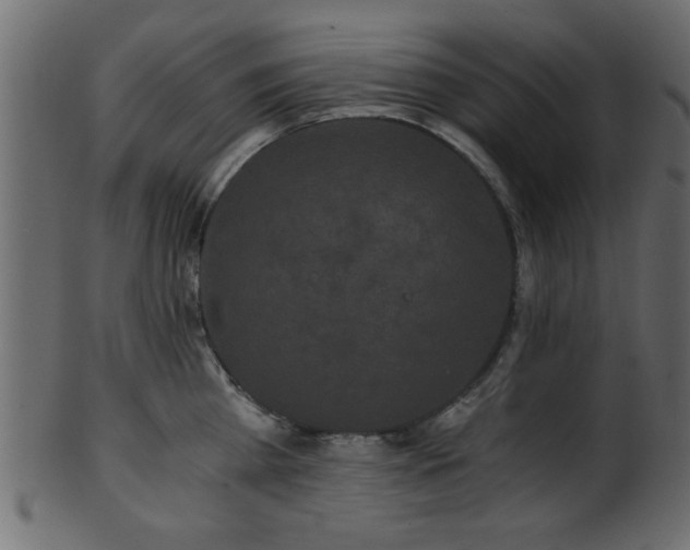 X0000101950809200807181449