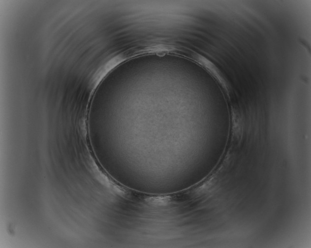 X0000101950810200807181449