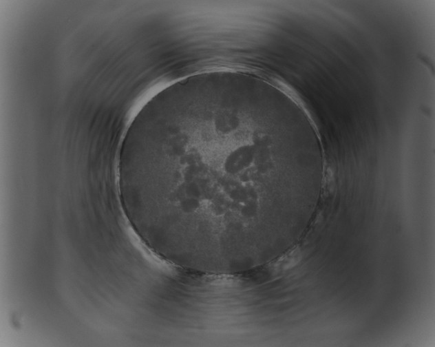 X0000101950811200807181449