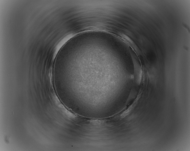 X0000101950812200807181449