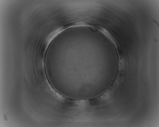 X0000101950813200807181449