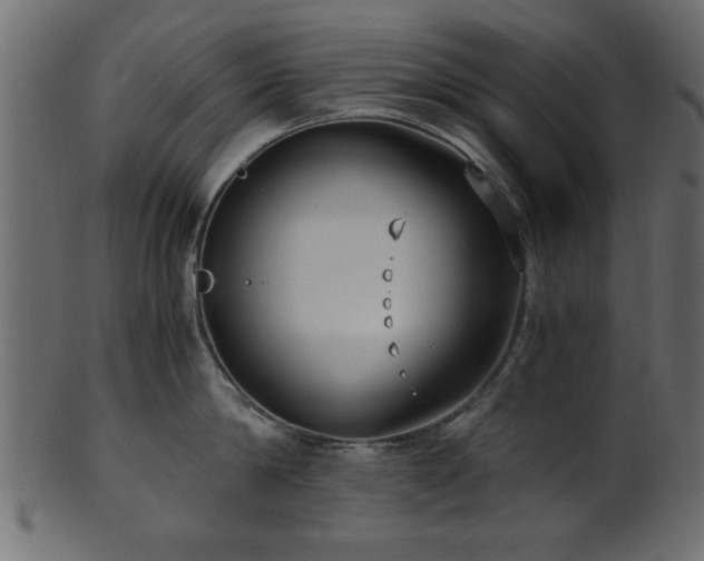 X0000101950814200807181449