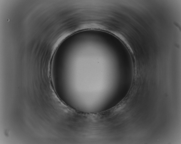 X0000101950815200807181449