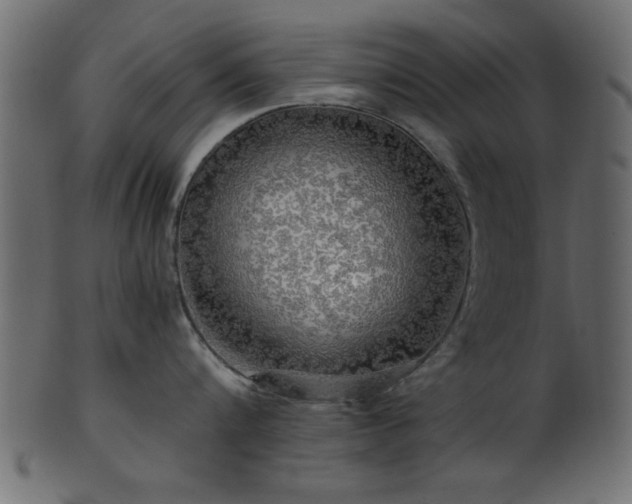 X0000101950816200807181449