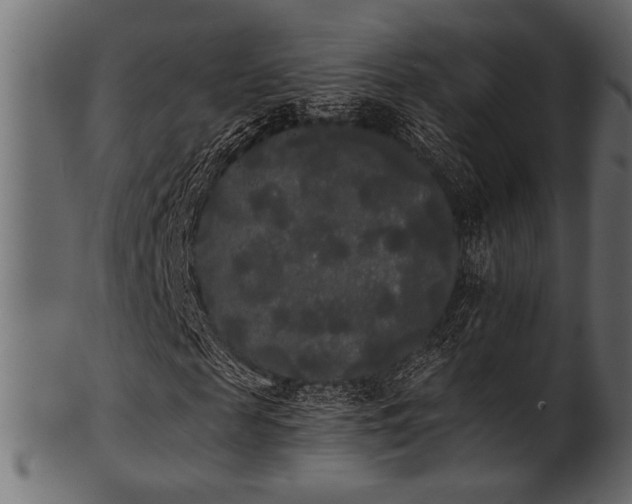 X0000101950817200807181448