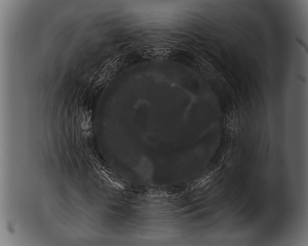 X0000101950818200807181448