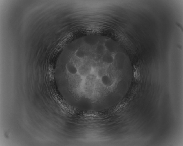 X0000101950819200807181448