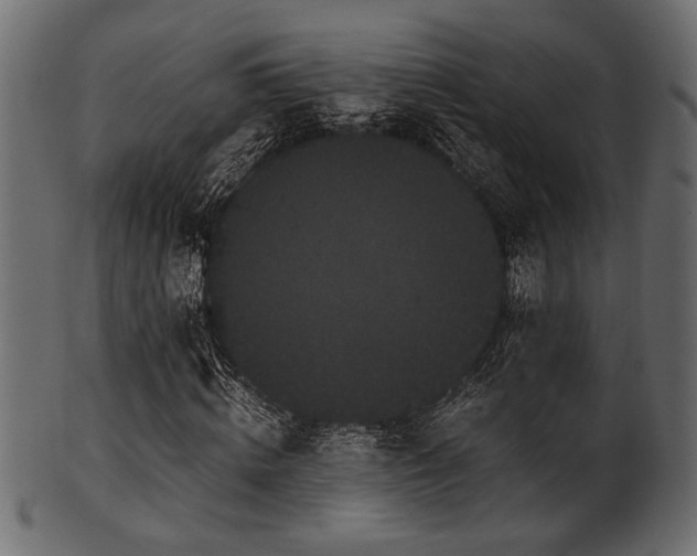 X0000101950820200807181448