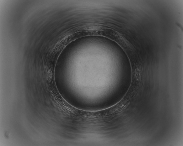 X0000101950821200807181448