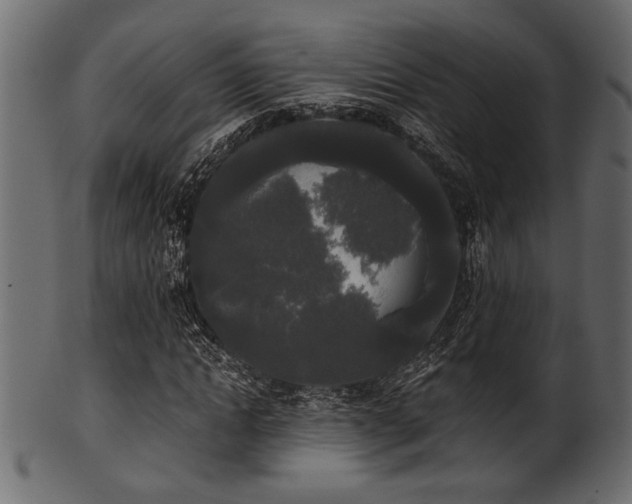 X0000101950822200807181448