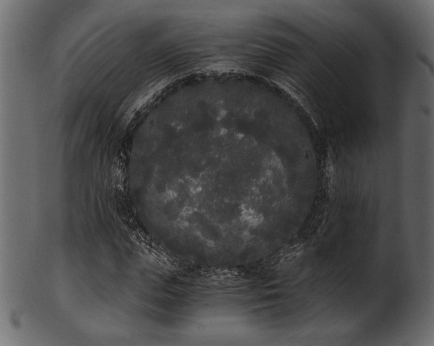 X0000101950823200807181448