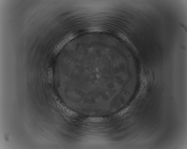 X0000101950825200807181448