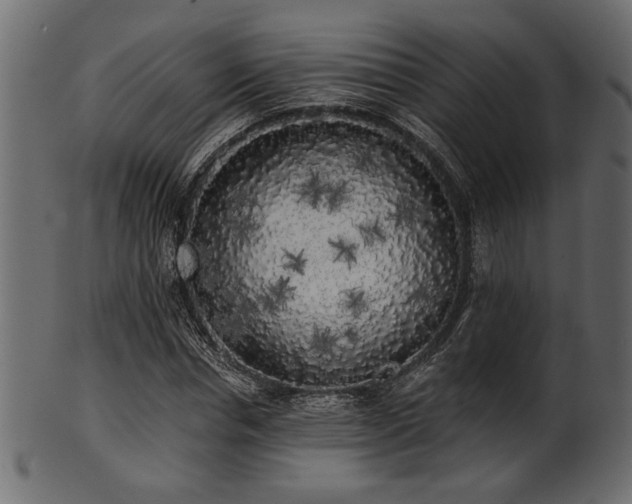 X0000101950826200807181448