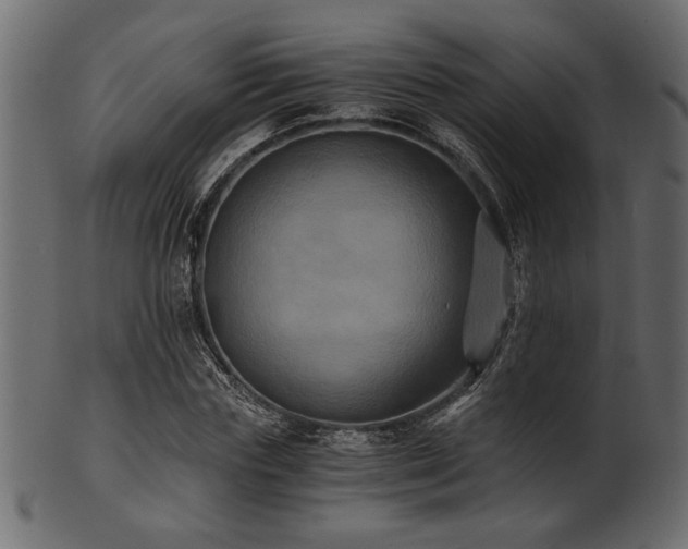 X0000101950827200807181448