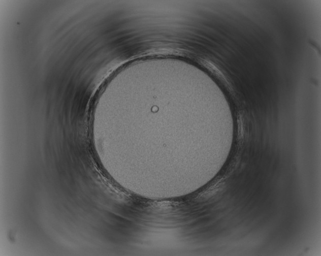 X0000101950828200807181448